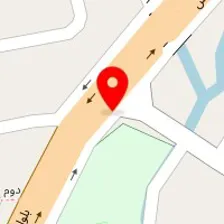 دکتر فریده سلطانی