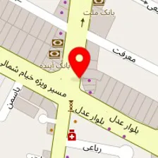 دکتر ناهید انوری