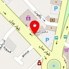 دکتر ونوس چگینی