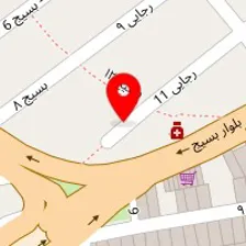 دکتر مهرانه دیانت