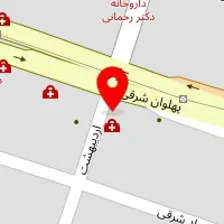 دکتر سوسن نیسی