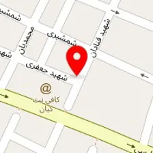 دکتر شهلا فانی