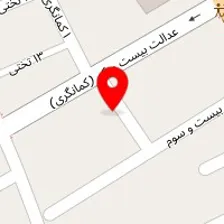 دکتر مریم عامل ذبیحی