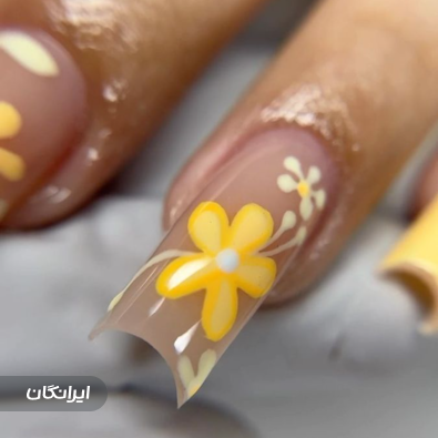 نیل آرتیست هیوا احمدی