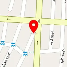 دکتر سکینه نورمحمدی