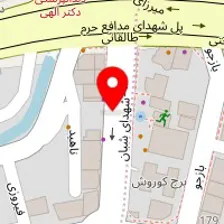 دکتر خدیجه نصری