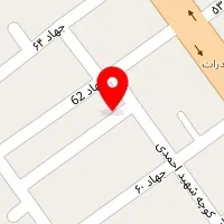 دکتر صالحه سالاری