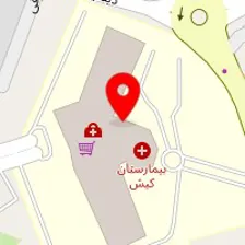 دکتر سیمین شرفی