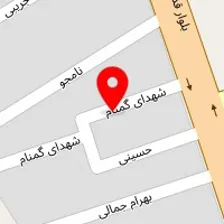 دکتر مجتبی صالحی