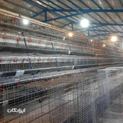 تولیدی تجهیزات مرغداری نوین طیور تک