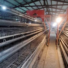 تولیدی تجهیزات مرغداری نوین طیور تک