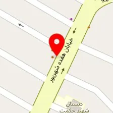 دکتر مژگان سید زاده