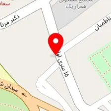 دکتر رضیه طباطبایی