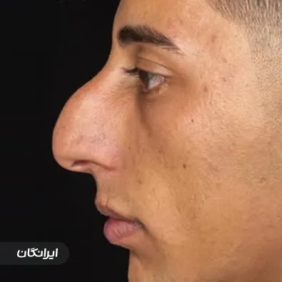 دکتر سینا سیدعباس زاده