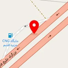 دکتر صبا چنعانی زاده