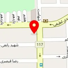 دکتر حکیمه گنجی