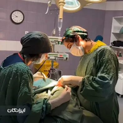 دکتر معصومه نیازی