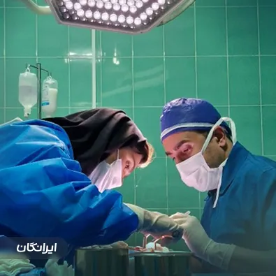 دکتر محسن ابویی مهریزی