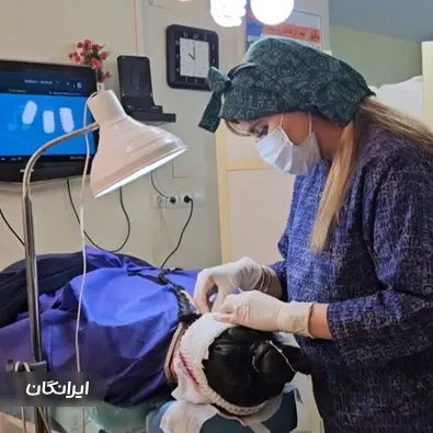 کارشناس کاشت ابرو میرم شیرزادگان