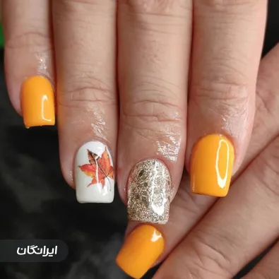 سالن زیبایی نازنین محمودوند