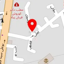 سالن زیبایی نیلوفر سبزی