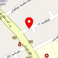 دکتر افسر طباطبایی