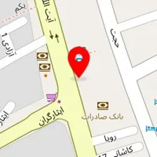 دکتر نجمه دهشیری زاده