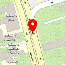 دکتر بیتا حسینی