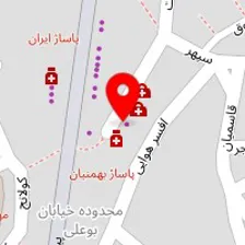 دکتر لوییز رسولی