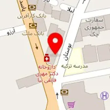 دکتر رضا میری