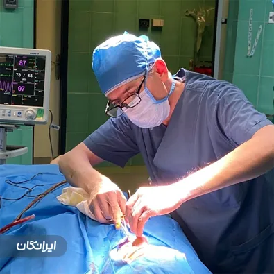 دکتر پرویز ذوالقدری