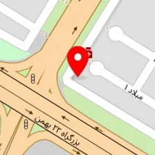 دکتر پروین تدین