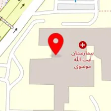 دکتر شیما توکلیان