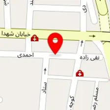 دکتر کاملیا بیرانوند