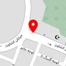 دکتر فرناز زن وکیلی