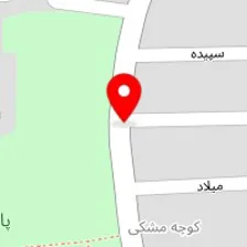 مشاور املاک ولیعصر