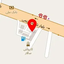 املاک دلتا شعبه نوشهر