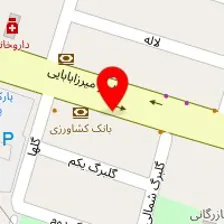 مسکن ستاره پونک