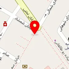 دکتر طیبه رشیدیان