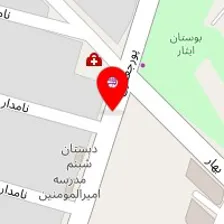 مشاورین املاک پیشگام