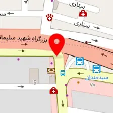 املاک دایان