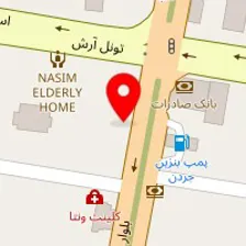 پوشاک الیس گلد