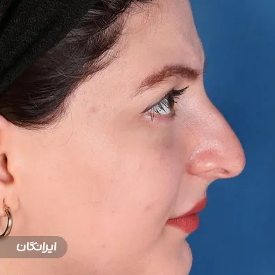 دکتر حامد قاروی آهنگر