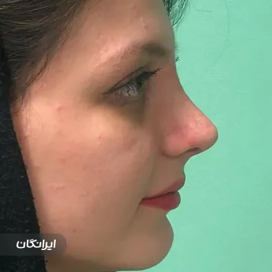 دکتر حامد قاروی آهنگر