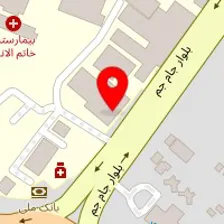 دکتر مریم رضوی