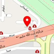 دکتر سعید رضایی