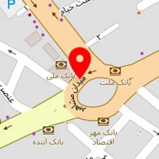 دکتر نجمه فائز