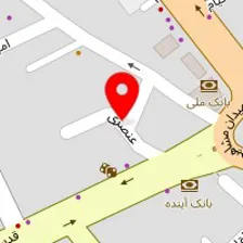 دکتر ناهید رهبر