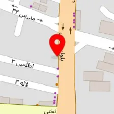 دکتر زینت بوذری