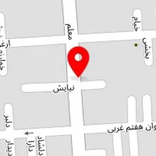 دکتر لیلا رییسی